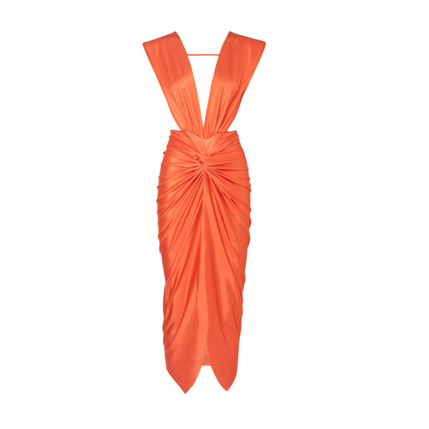 Coral Lily