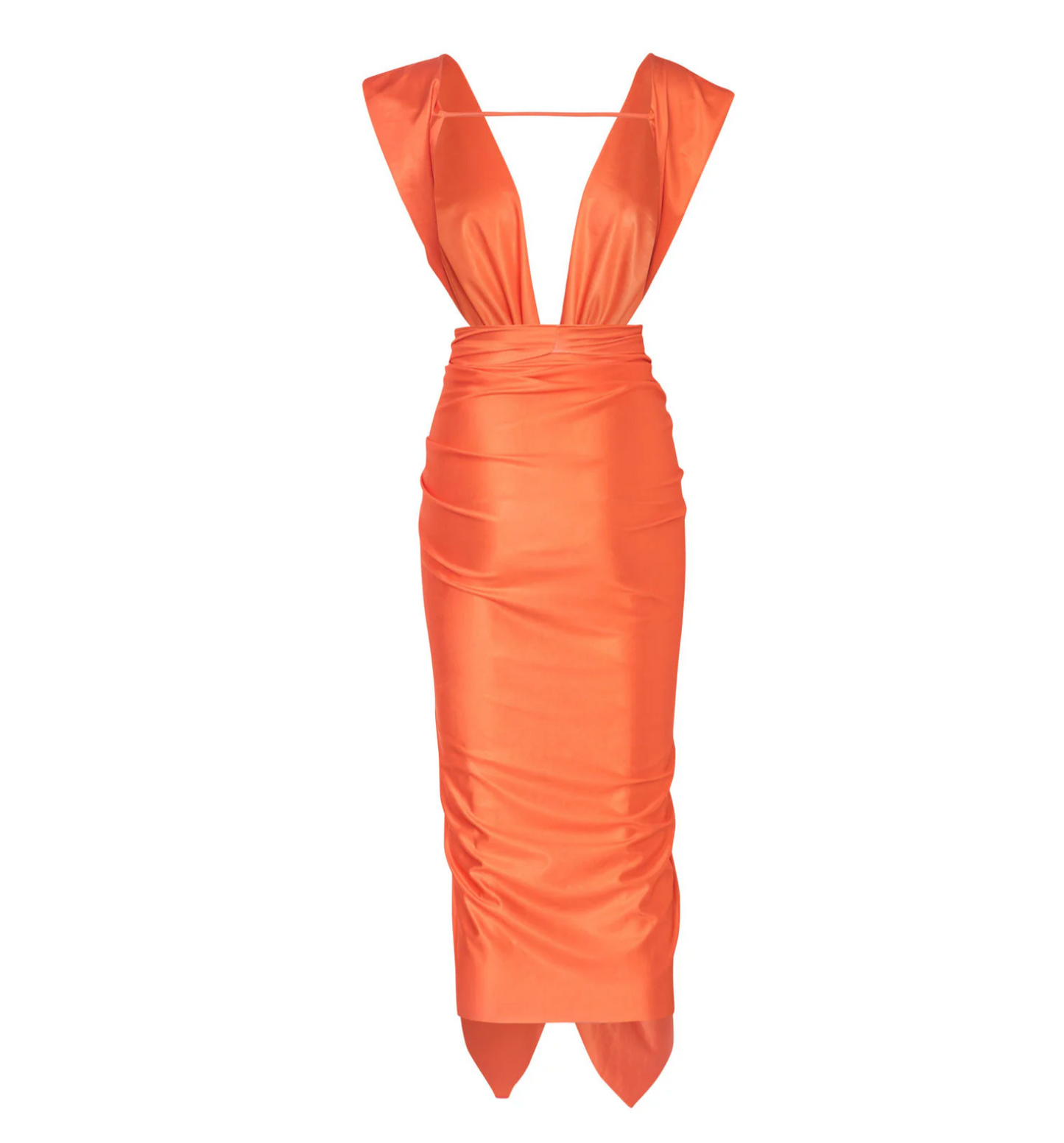 Coral Lily