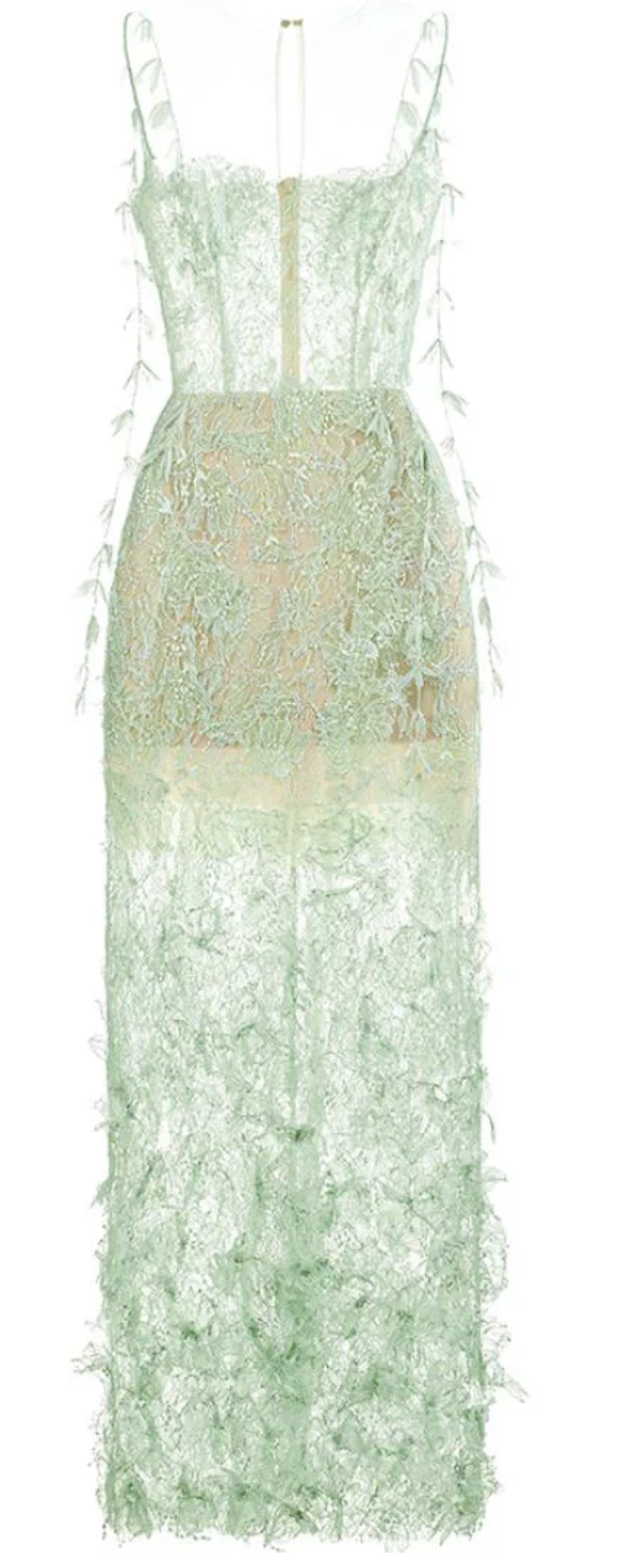Green Lace Vine