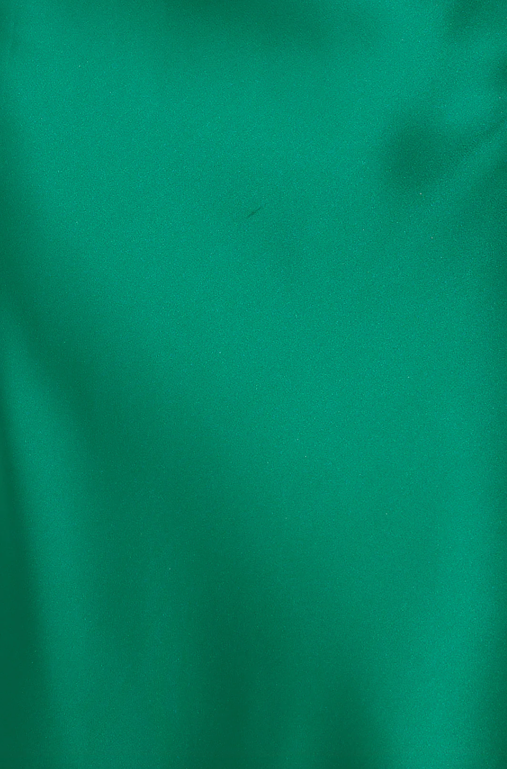 Green Gladiolus